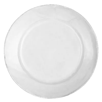 Astier de Villatte   Sobre Dinner Plate