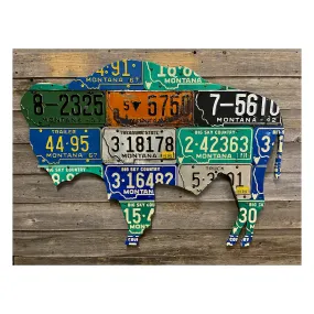 Cody Richardson Montana License Plate Bison