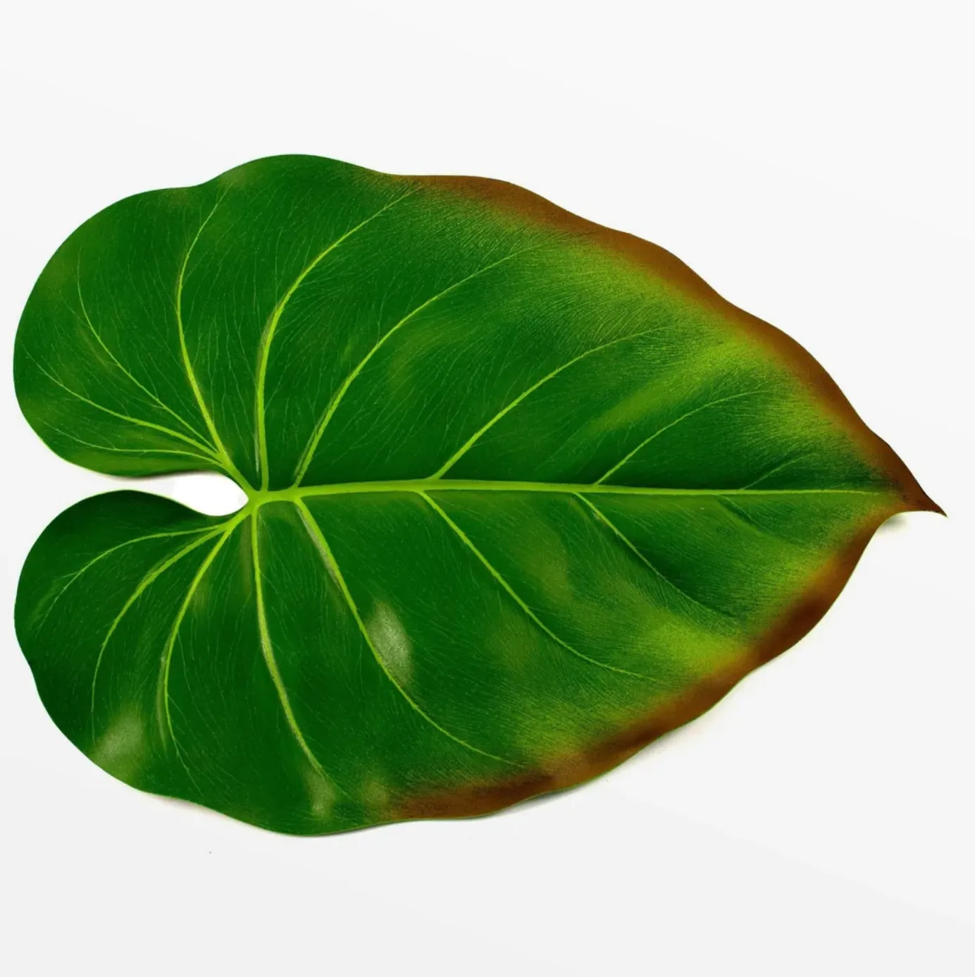 Leaf Placemats