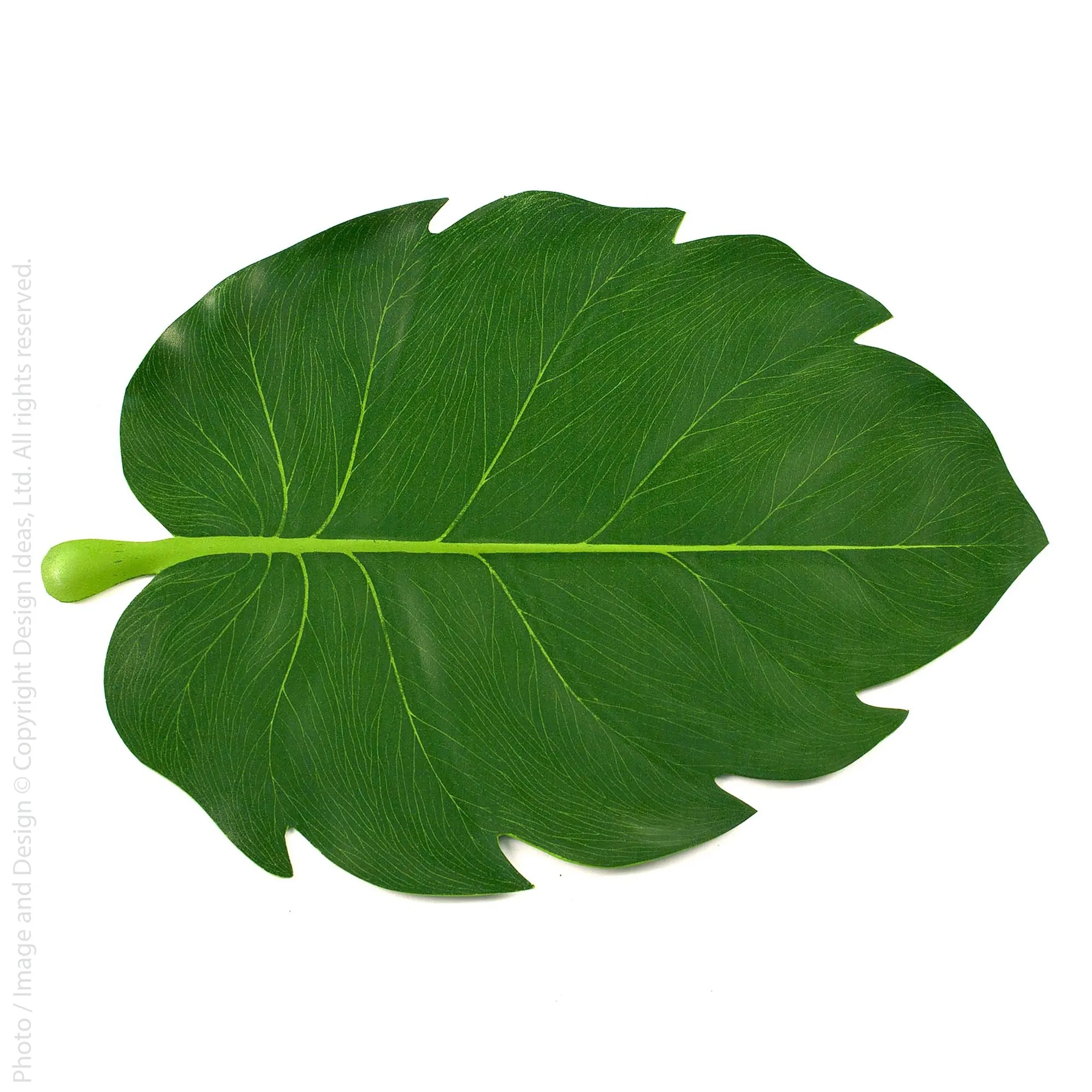 Leaf Placemats