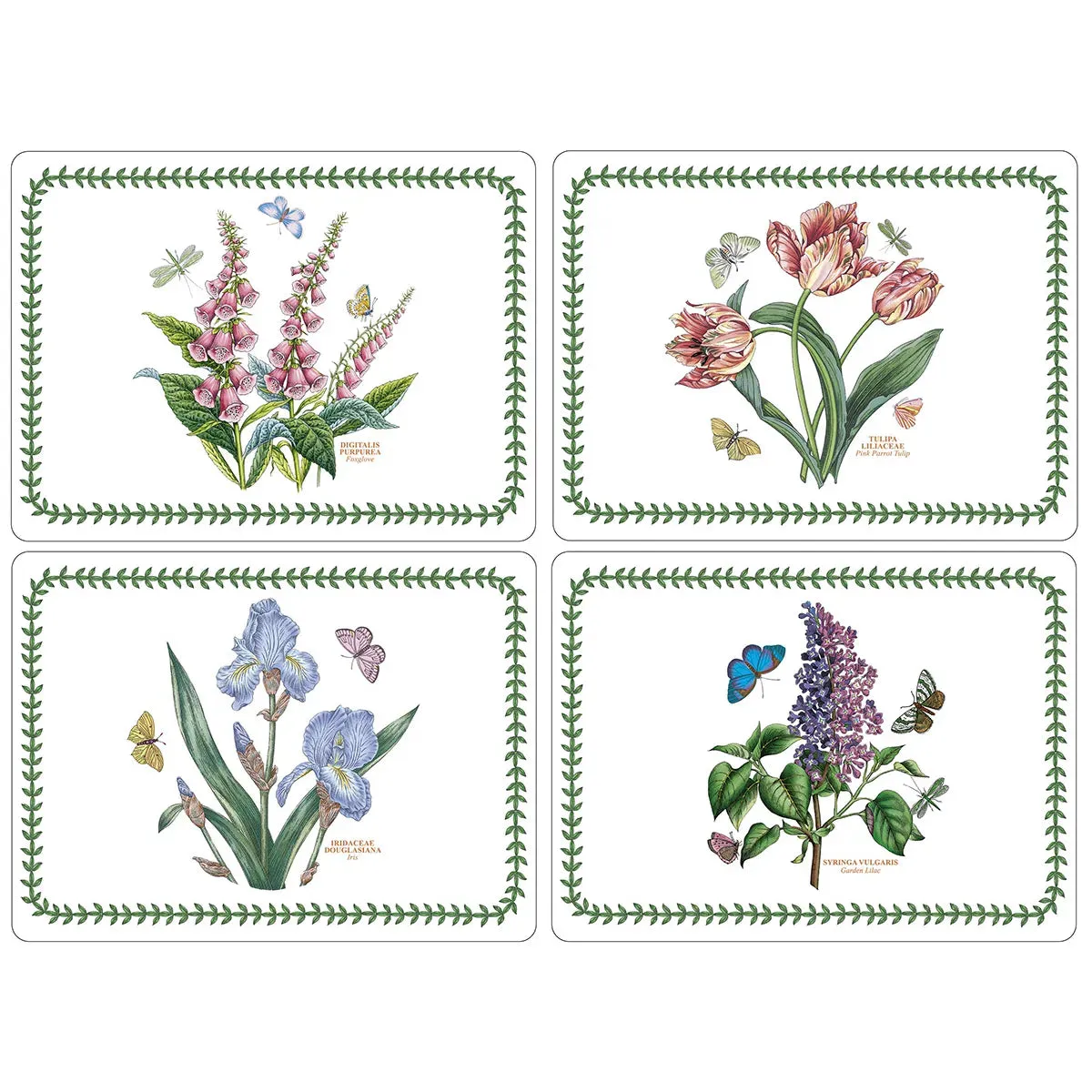 Pimpernel Botanic Garden Set of 4 Rectangle Placemats