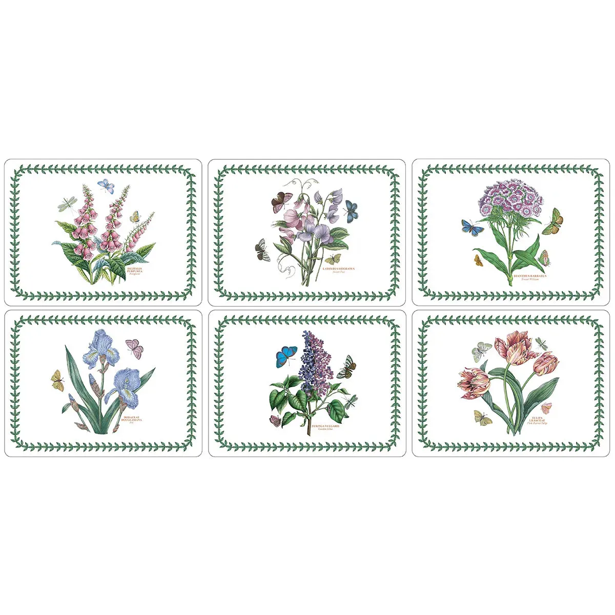 Pimpernel Botanic Garden Set of 6 Rectangle Placemats