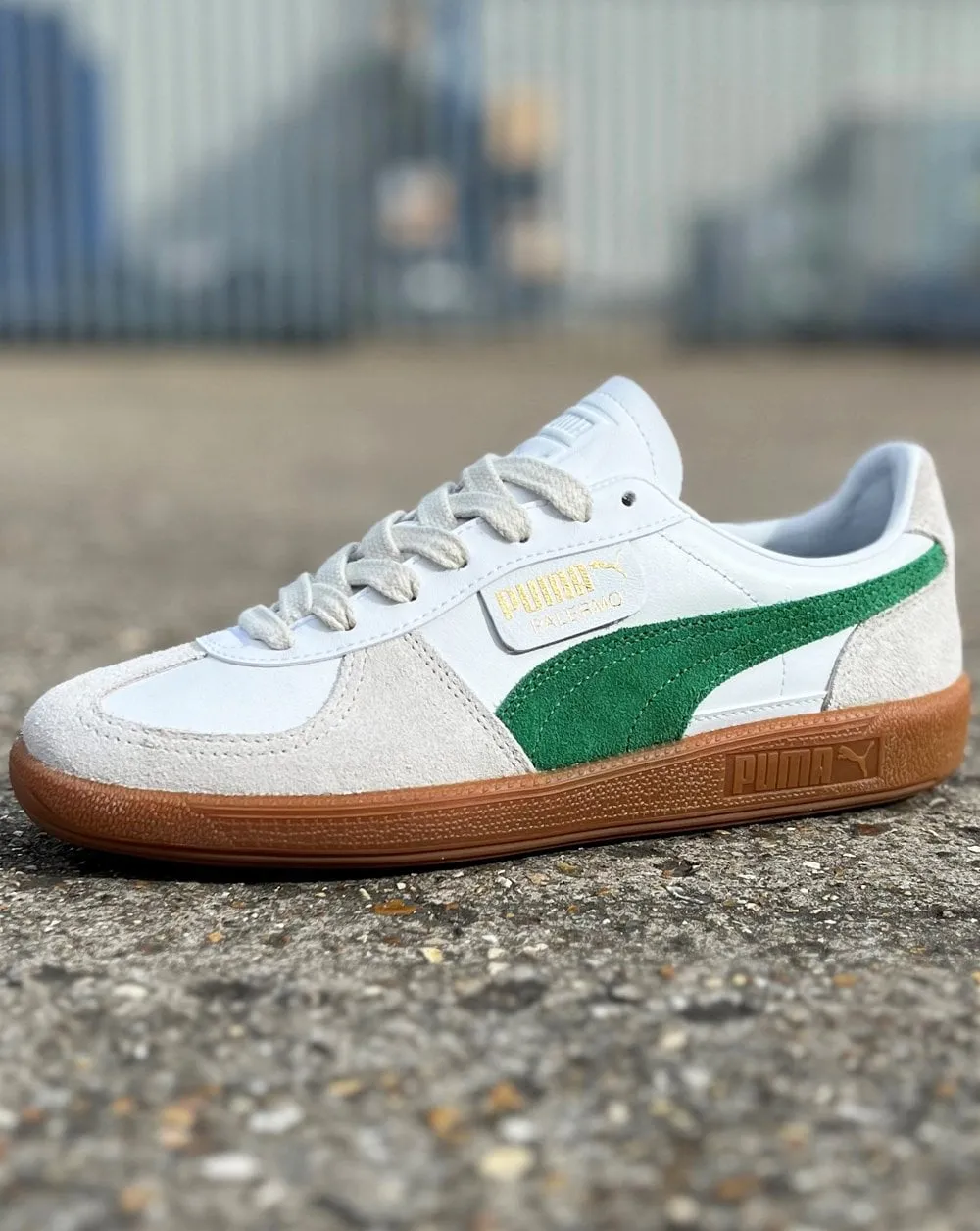 Puma Palermo Leather Trainer White / Green