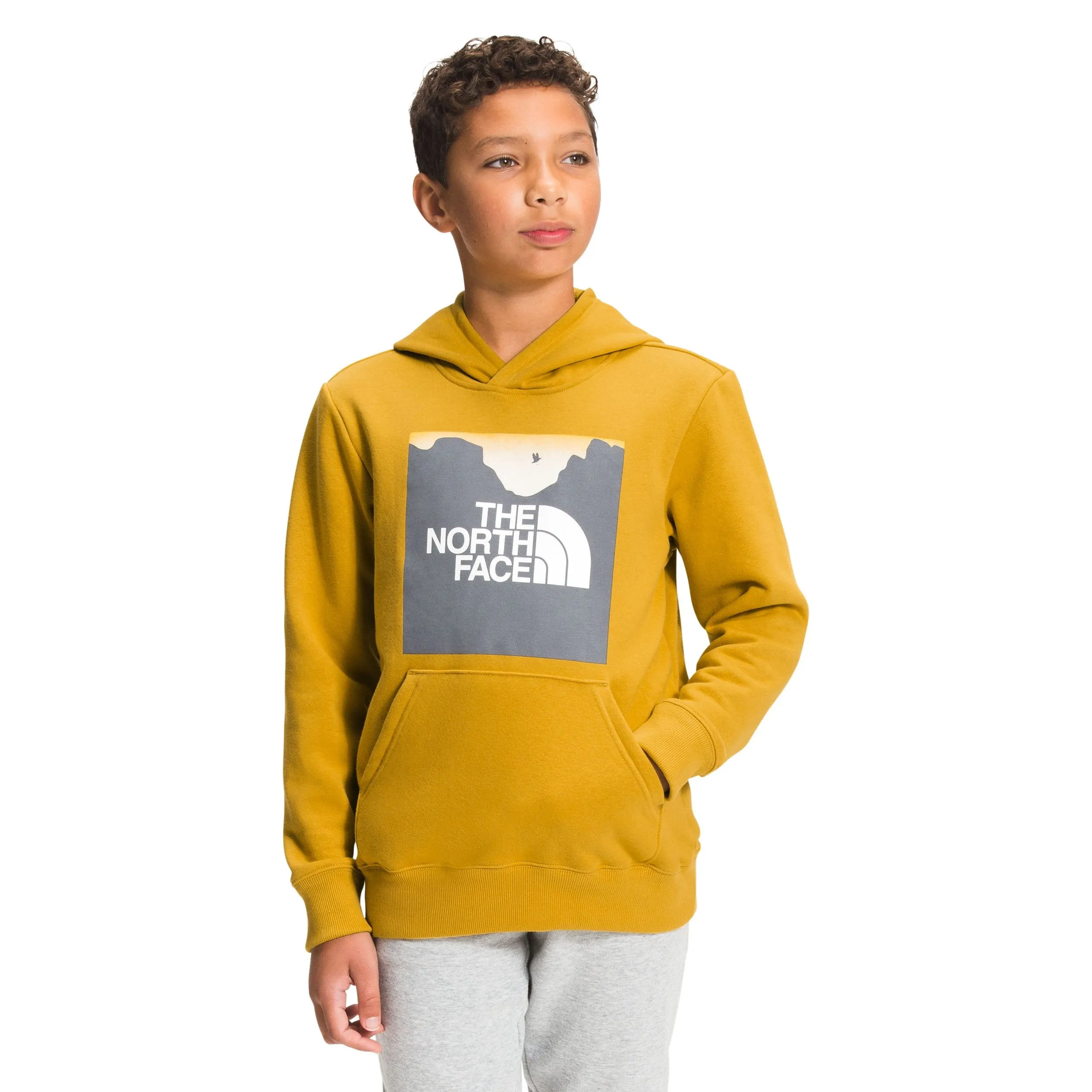 The North Face Boys' Camp Fleece Pullover Hoodie